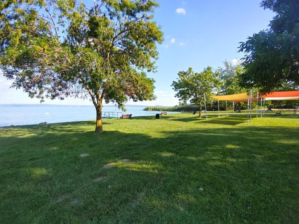 Sir David Balaton Castle Apartmanok 鲍洛通塞派兹德 外观 照片