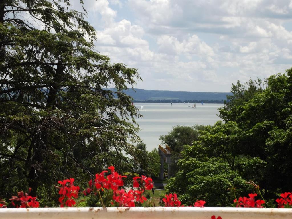 Sir David Balaton Castle Apartmanok 鲍洛通塞派兹德 外观 照片