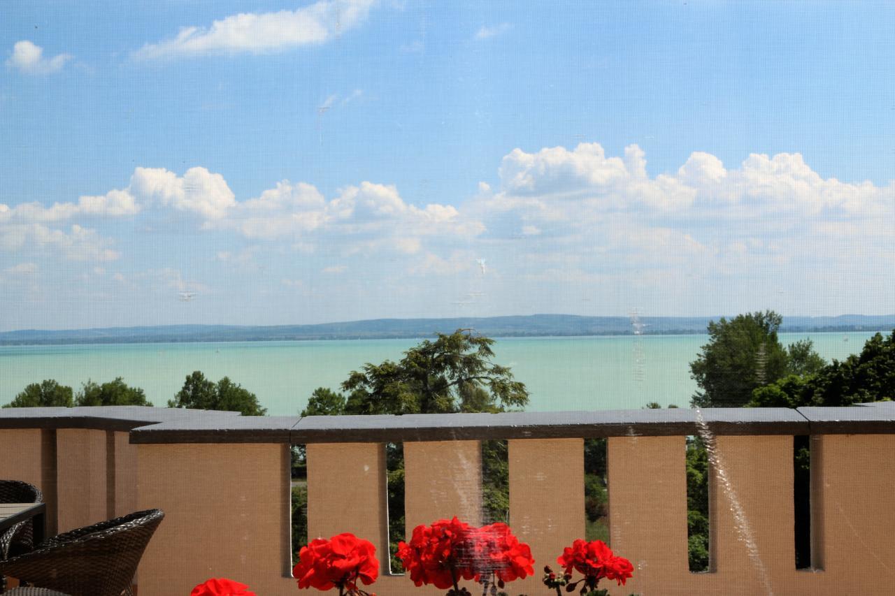 Sir David Balaton Castle Apartmanok 鲍洛通塞派兹德 外观 照片