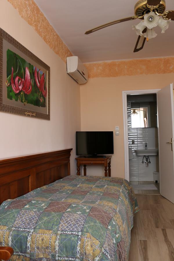 Sir David Balaton Castle Apartmanok 鲍洛通塞派兹德 外观 照片