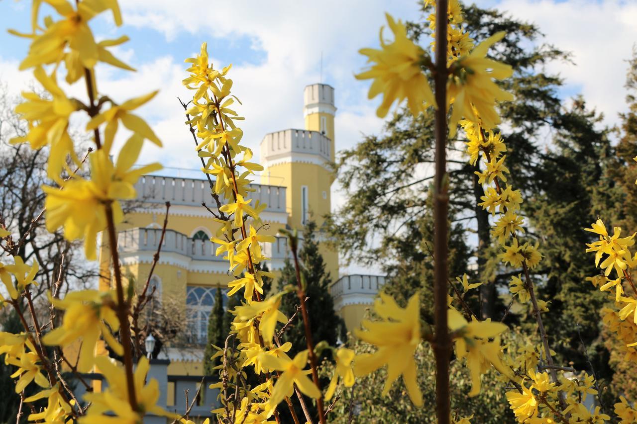 Sir David Balaton Castle Apartmanok 鲍洛通塞派兹德 外观 照片